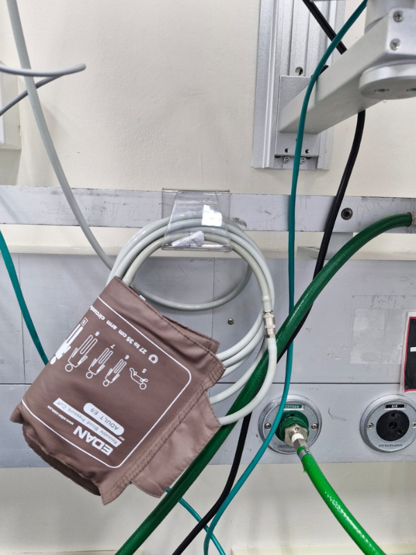 Untitled design - 2024-12-25T130334.348