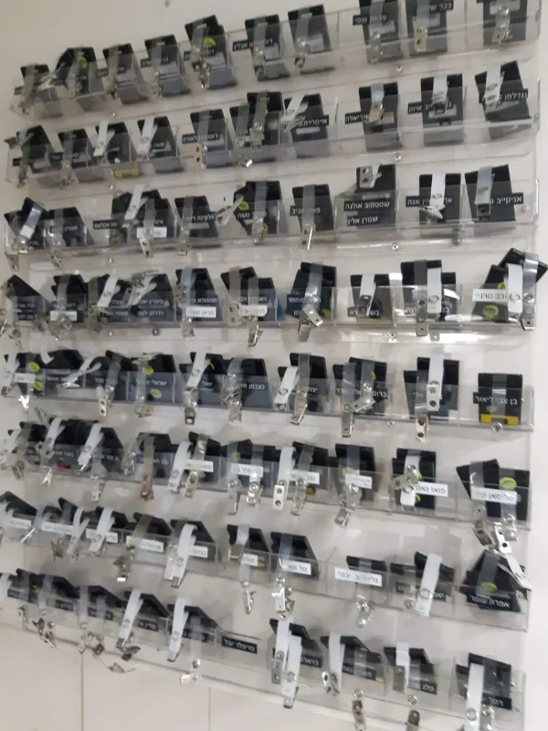 Untitled design - 2024-12-25T131120.225